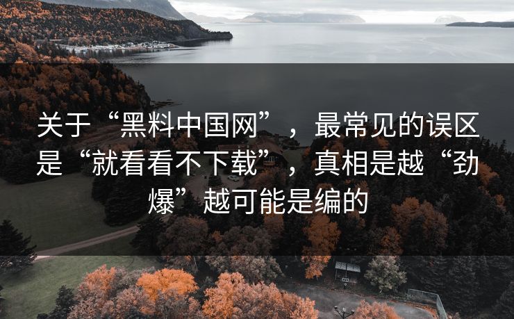 关于“黑料中国网”，最常见的误区是“就看看不下载”，真相是越“劲爆”越可能是编的